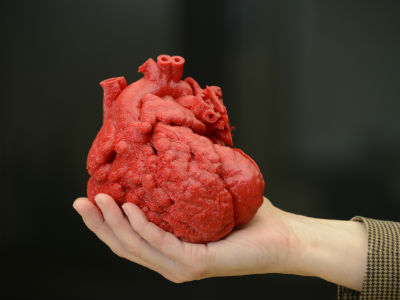 В США напечатали на 3D-принтере модель сердца для спасения ребенка.
